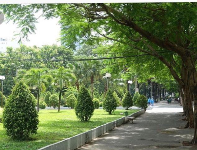 Ở trọ Mimi's Homestay *